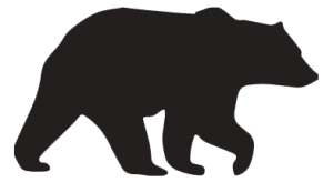 Grizzly Power Inc photo 3